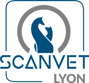 SCANVET LYON
